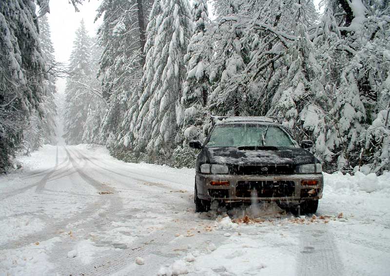 Name:  snow1.jpg
Views: 61
Size:  88.1 KB