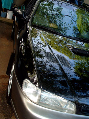 Name:  front-left.jpg
Views: 56
Size:  42.4 KB