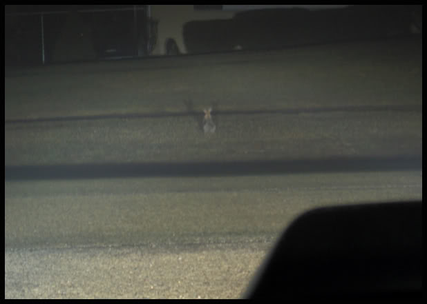 Name:  hid9.jpg
Views: 13
Size:  23.9 KB