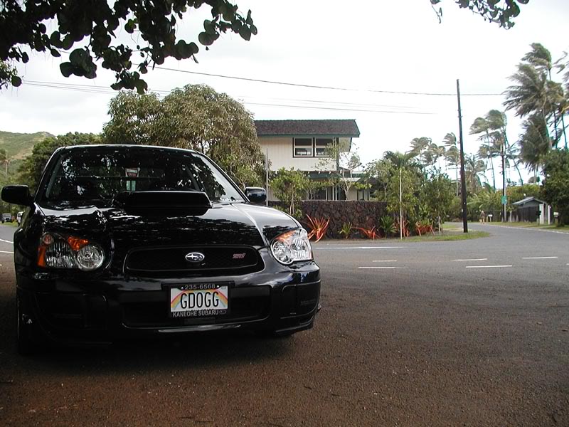 Name:  gdoggdrift1.jpg
Views: 47
Size:  103.6 KB