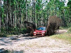 Subies playing in the mud. Let's see em.-mudspray.jpg
