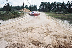 Subies playing in the mud. Let's see em.-dirtslide.jpg