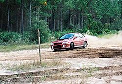 Subies playing in the mud. Let's see em.-dag4.jpg