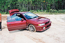 Subies playing in the mud. Let's see em.-aww2.jpg