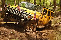 Subies playing in the mud. Let's see em.-bbq-26.jpg