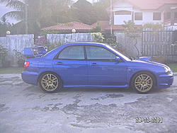 Asian Rex-picture-007.jpg