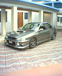 Asian Rex-picture-3-.jpg