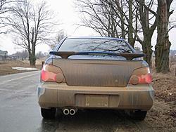 Subies playing in the mud. Let's see em.-sub33.jpg