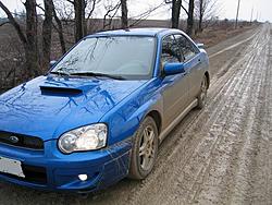 Subies playing in the mud. Let's see em.-sub26.jpg