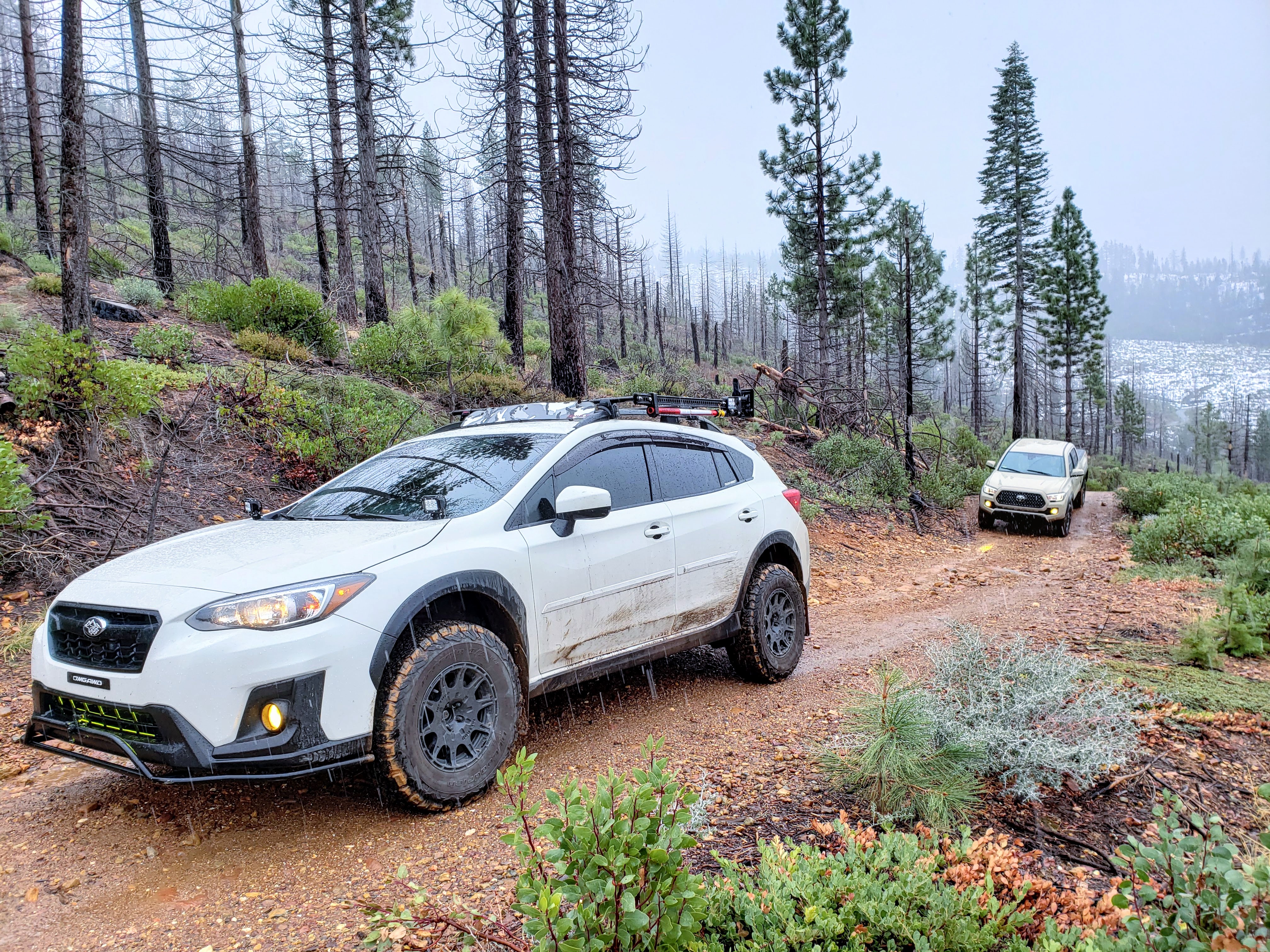 Name:  8JHLan9.jpg
Views: 32
Size:  3.99 MB