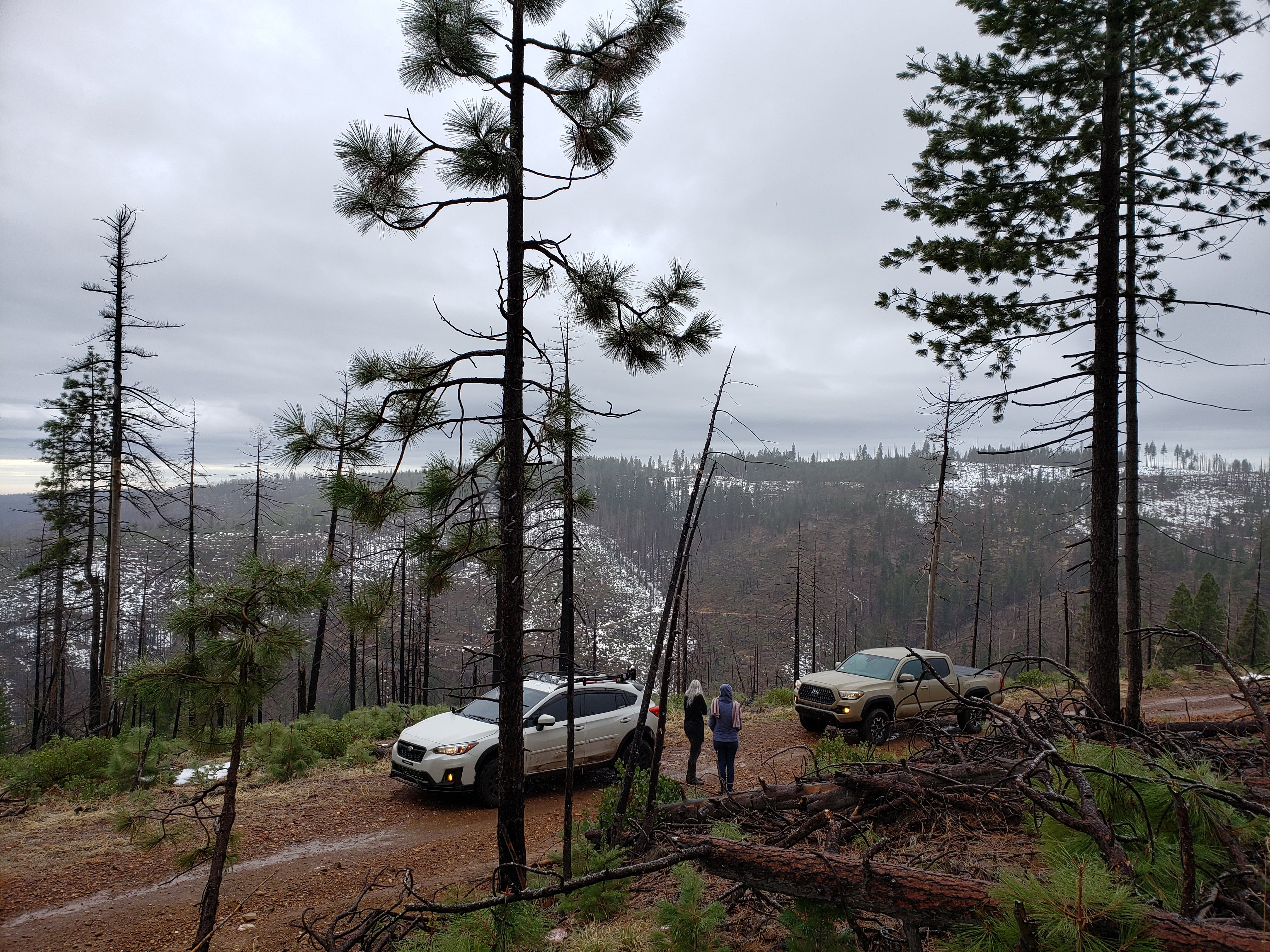 Name:  axVeQby.jpg
Views: 27
Size:  2.93 MB