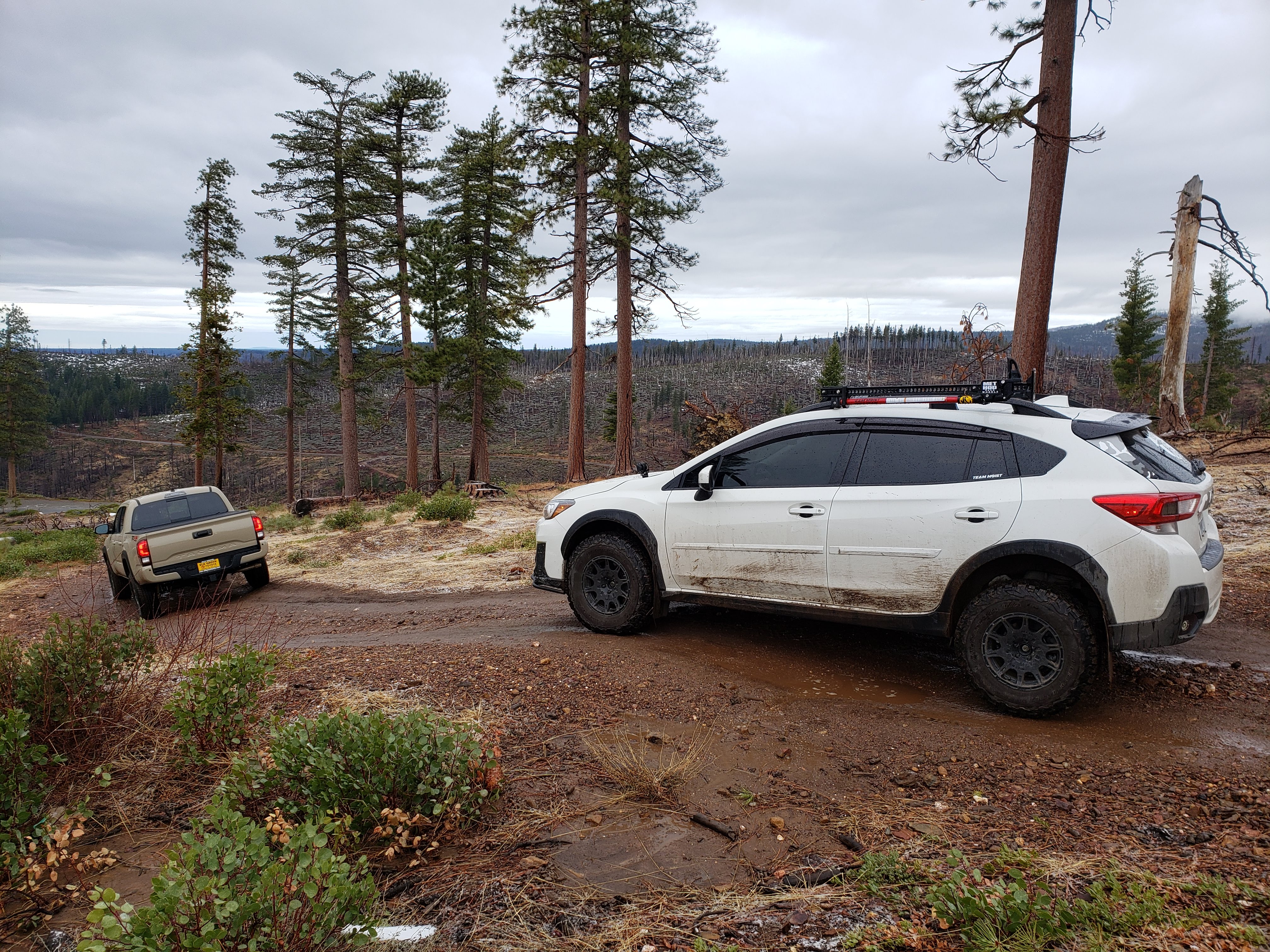 Name:  O6BtPkP.jpg
Views: 30
Size:  3.18 MB