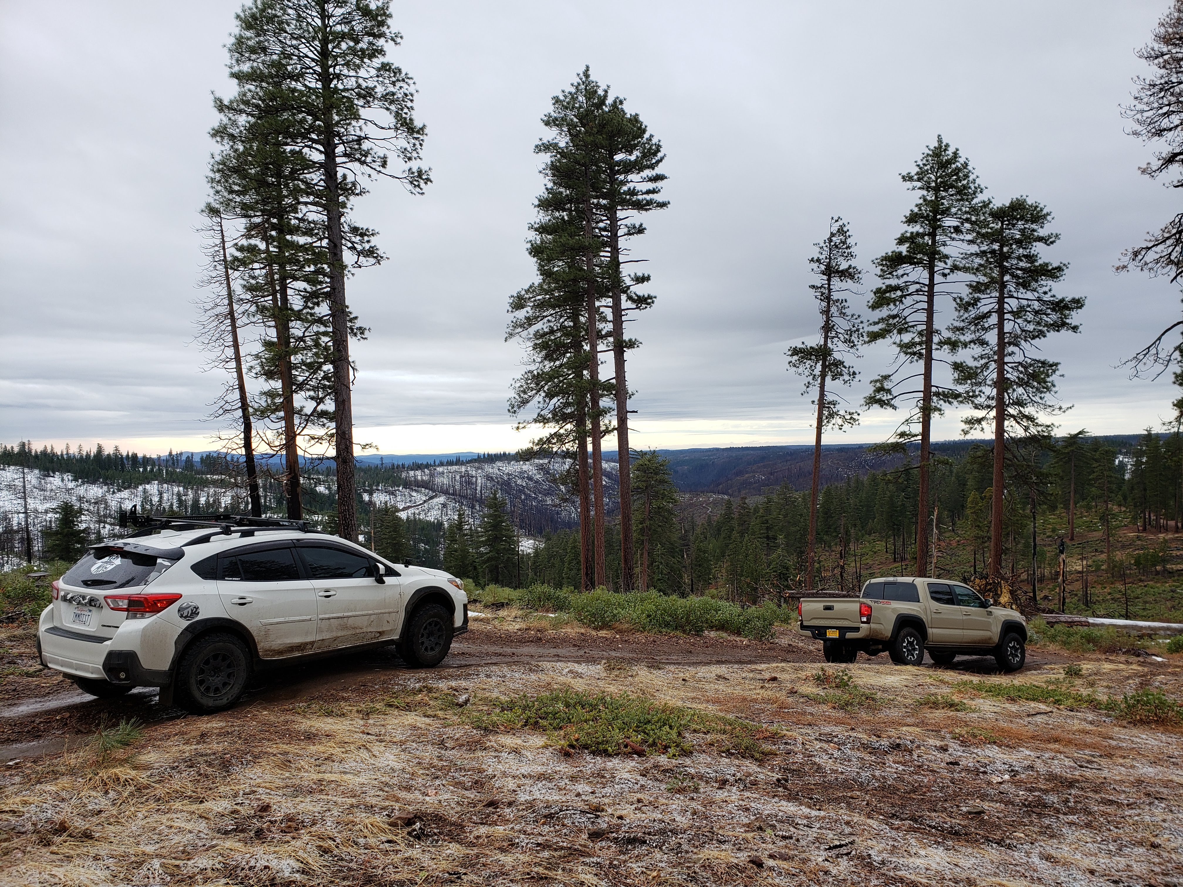 Name:  pOM2z1U.jpg
Views: 29
Size:  3.02 MB