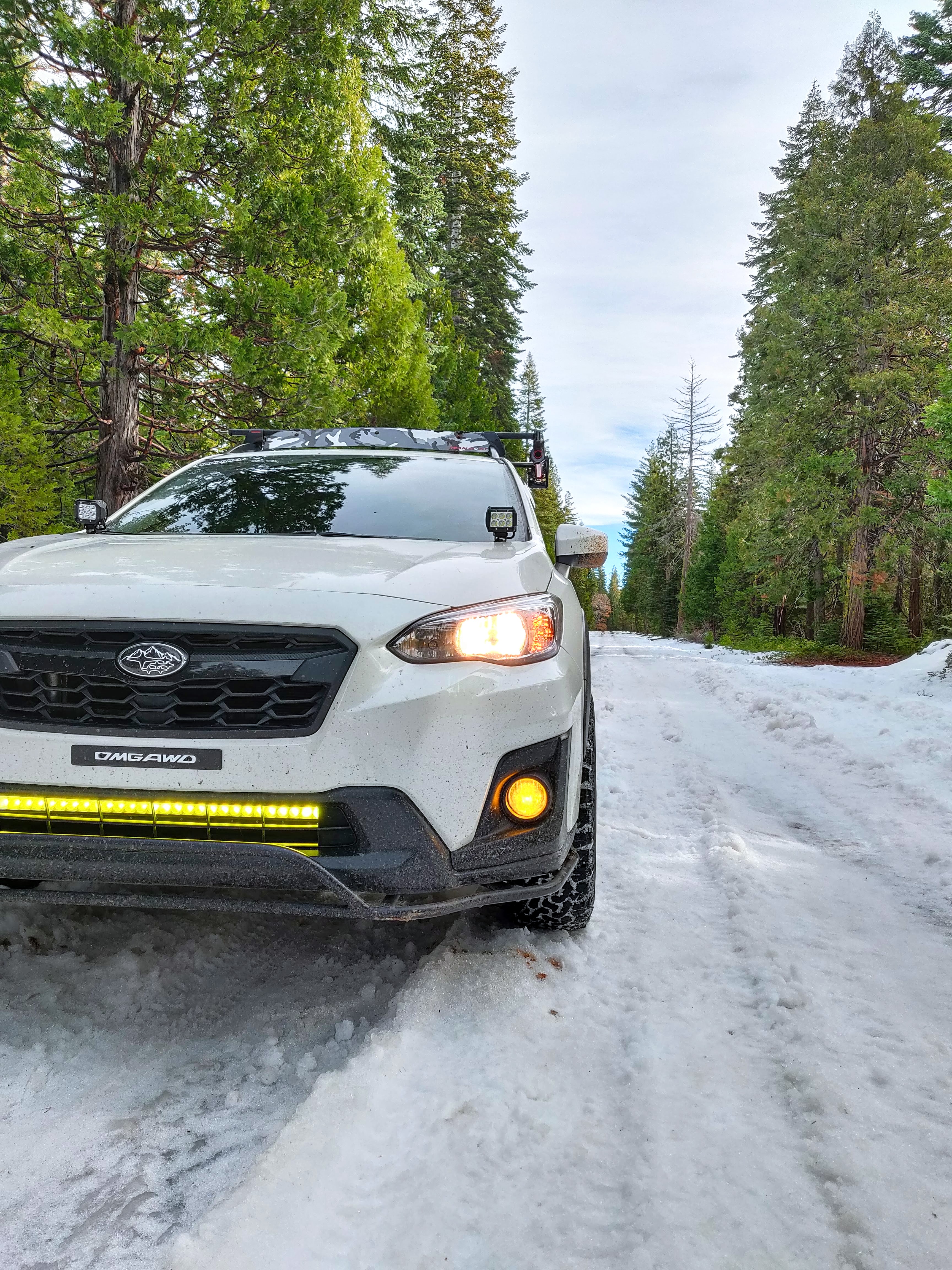 Name:  uFvgWKl.jpg
Views: 29
Size:  3.83 MB