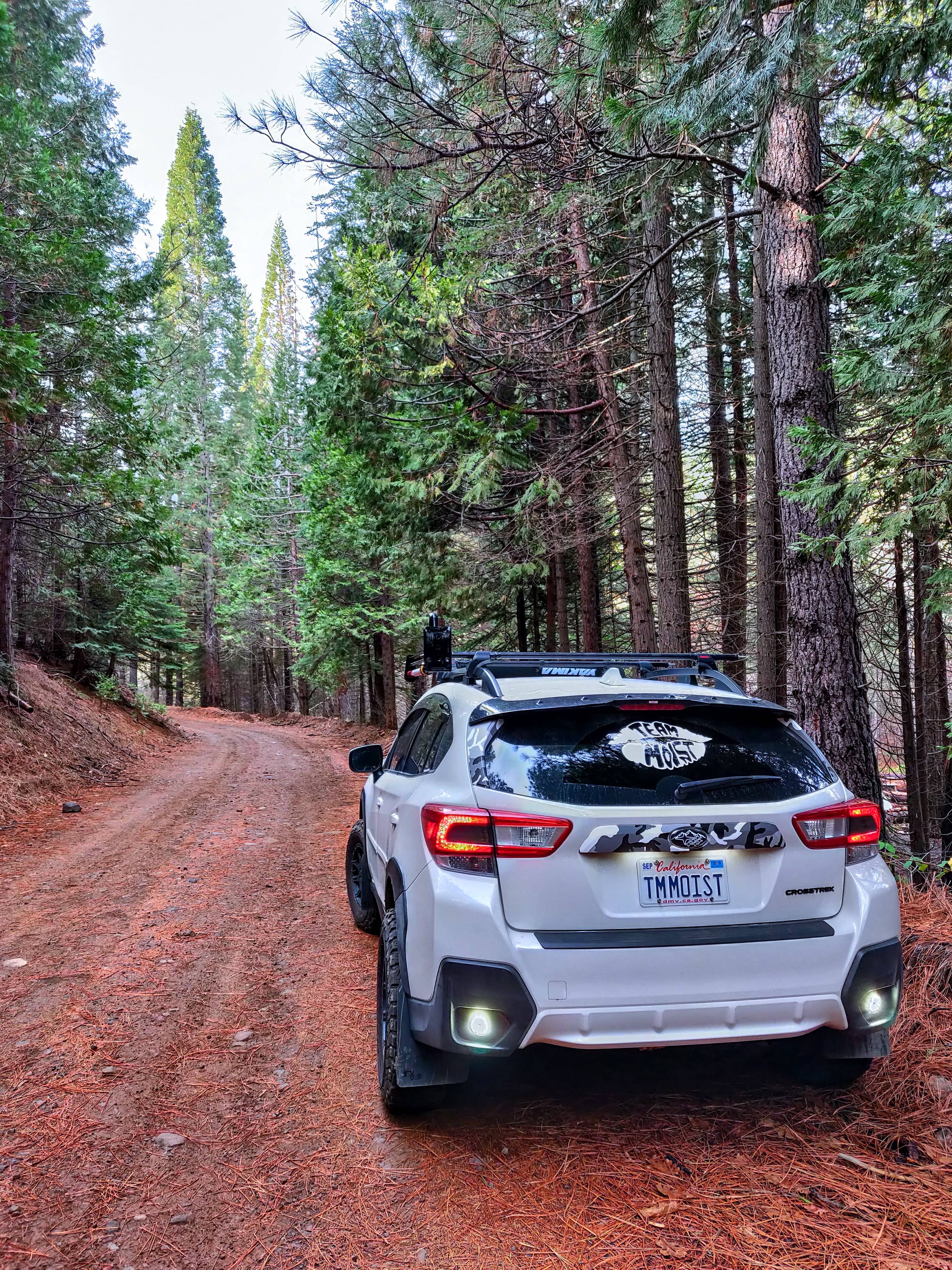 Name:  tkIN476.jpg
Views: 37
Size:  3.50 MB