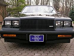 My stable-run-forest.jpg