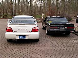 My stable-fast-asses.jpg