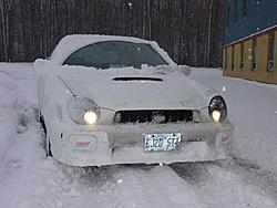 Me and WReXy playing in the snow!-snowpanda41.jpg