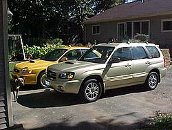 new-mvc-025f.jpg