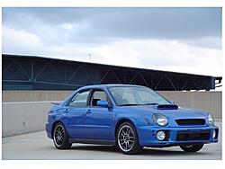 new pics of the rex-picture-096.jpg