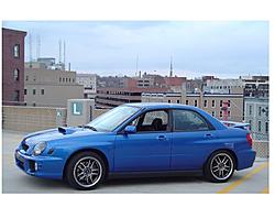 new pics of the rex-picture-098.jpg