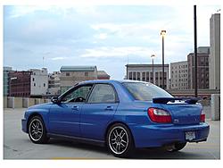 new pics of the rex-picture-099.jpg