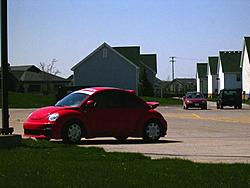 Super rice thread...-bug-1.jpg