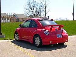 Super rice thread...-bug-2.jpg