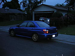 wingless sti?-pict0071.jpg