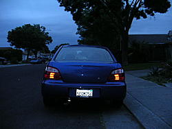 wingless sti?-pict0073.jpg