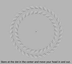Cool Pic's-crazyillusion%5B1%5D.jpg