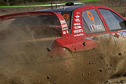 OFFICIAL: Rally Pic Thread-panizzi6001.jpg