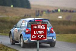 OFFICIAL: Rally Pic Thread-lamb.jpg