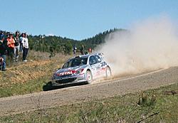 OFFICIAL: Rally Pic Thread-ss21_panizzi.jpg