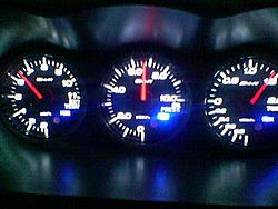 Asian Rex 2-image-038-.jpg