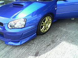 Asian Rex 2-pic-1.jpg