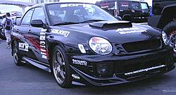 Wings West Body-sema_6.jpg