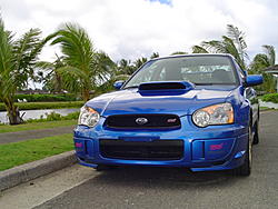It was beautiful in the Aloha state so. . .-dsc00909.jpg