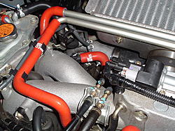 New pics of samco 9 piece hose kit....-2004_0624image0018.jpg