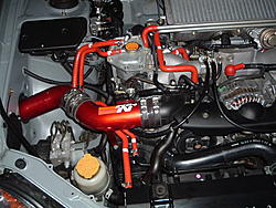 New pics of samco 9 piece hose kit....-2004_0624image0013.jpg