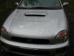I got my car dirty. :(-42303frontend.jpg