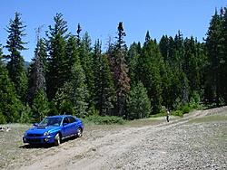 Here is my baby!-dsc01131.jpg