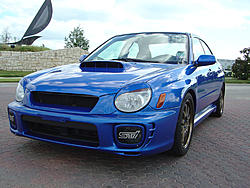 New Pictures-dsc00452.jpg