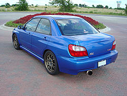 New Pictures-dsc00446.jpg