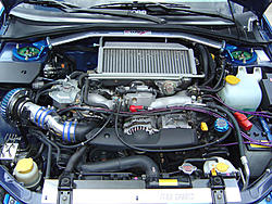 New Pictures-dsc00423.jpg