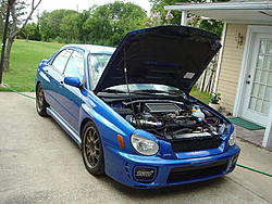 New Pictures-dsc00432.jpg