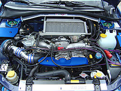 New Pictures-dsc004230.jpg