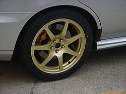 Got some new shoes...-dsc00572.jpg