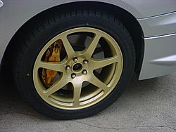 Got some new shoes...-dsc00573.jpg