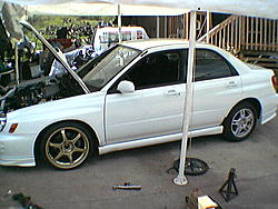 White on gold rocks-imga0225.jpg